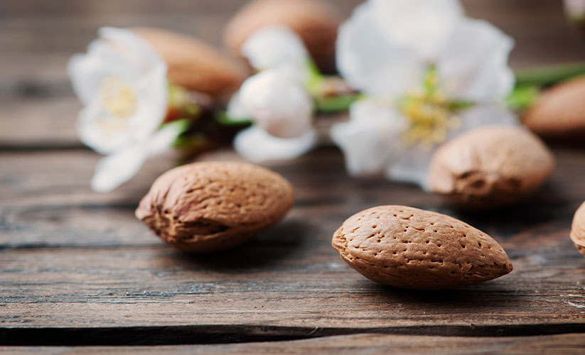 tipos-de-almendras-españolas