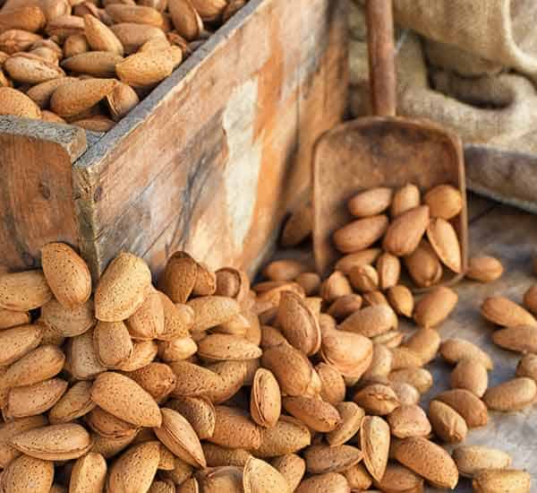 almendra gourmet a granel